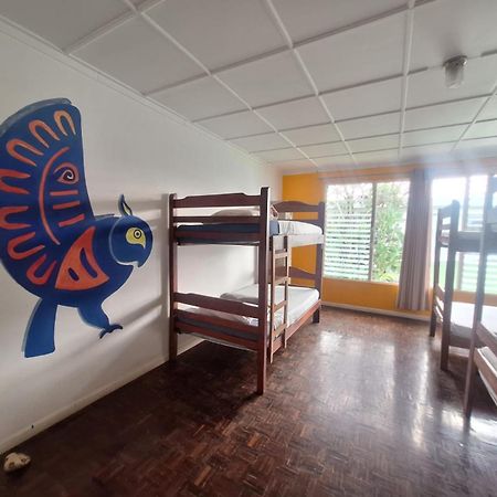 Lost In San Jose Hostel & Suites Bagian luar foto