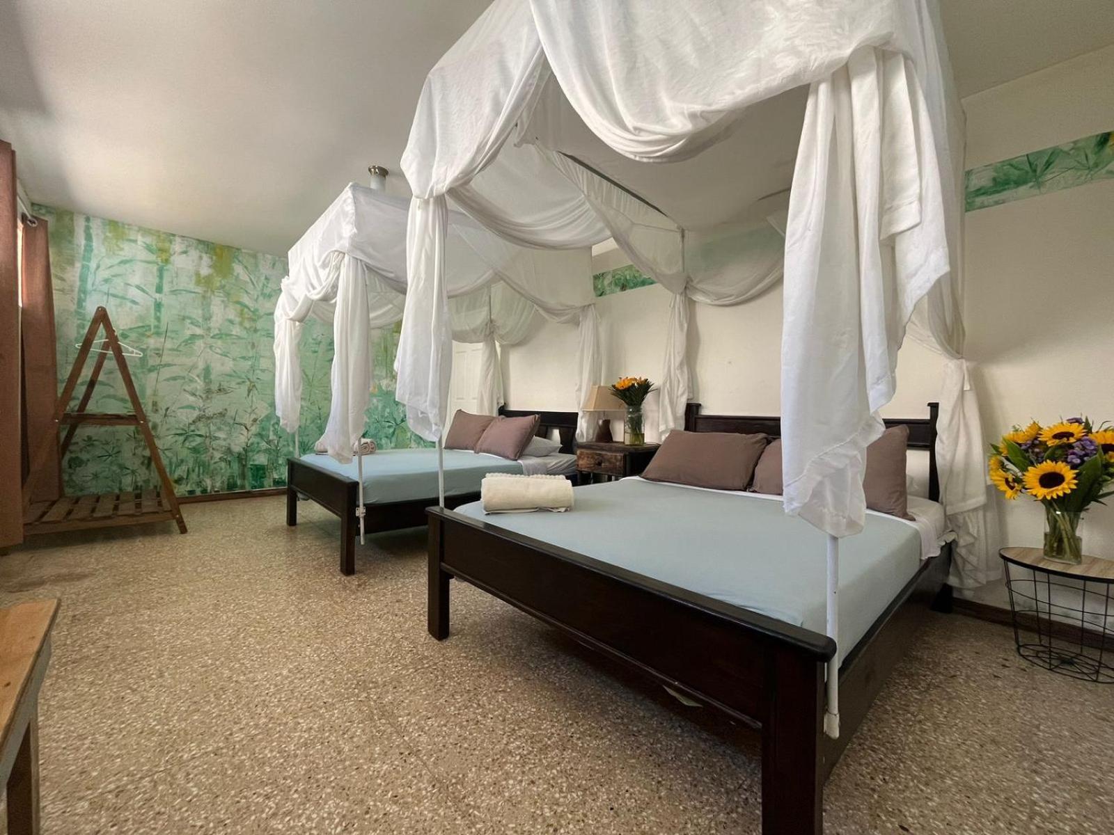 Lost In San Jose Hotel & Hostel Bagian luar foto