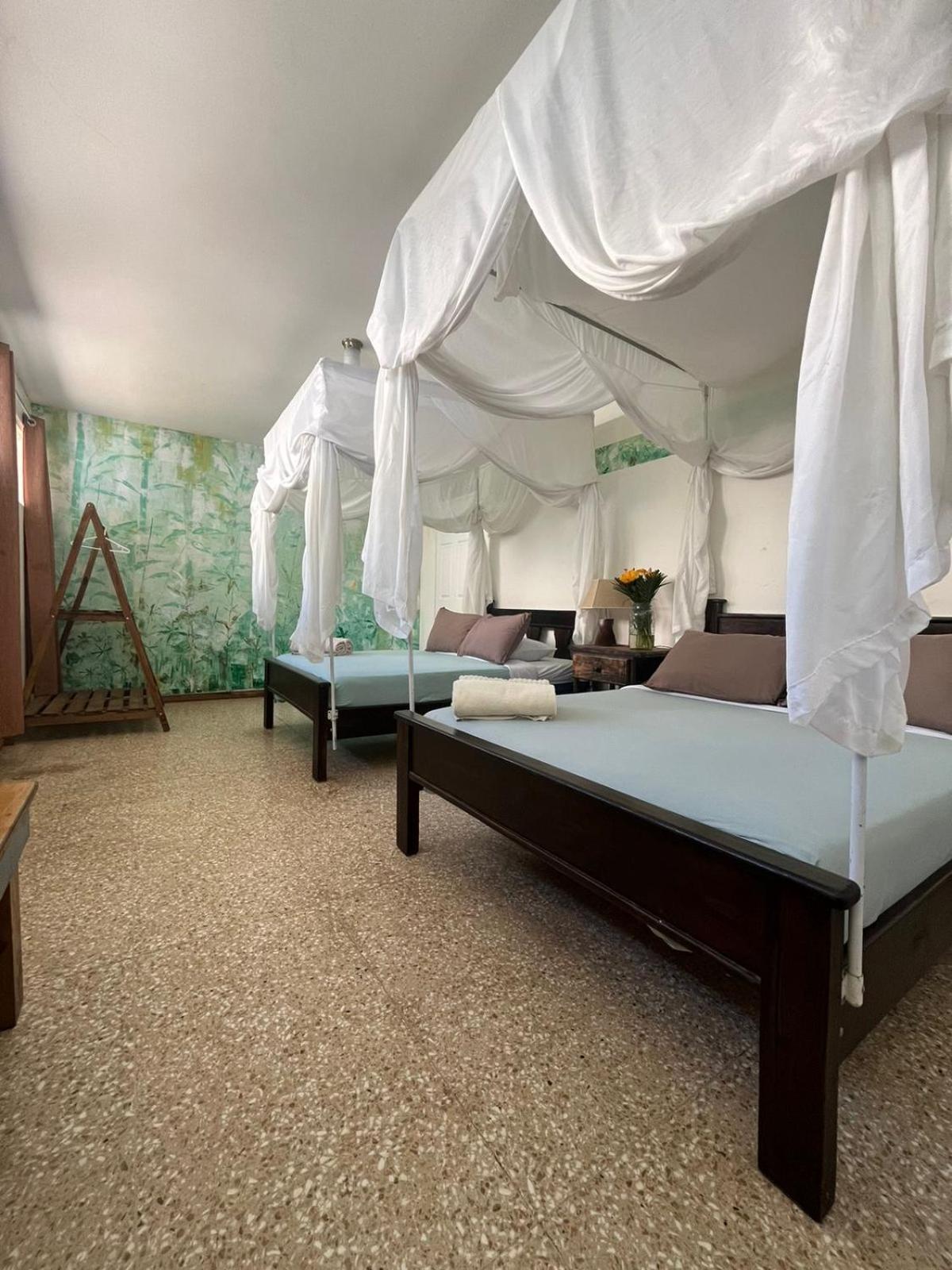 Lost In San Jose Hotel & Hostel Bagian luar foto
