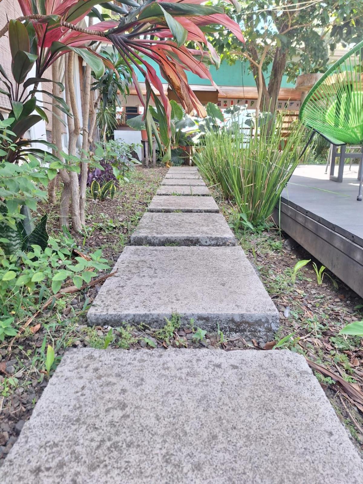 Lost In San Jose Hotel & Hostel Bagian luar foto