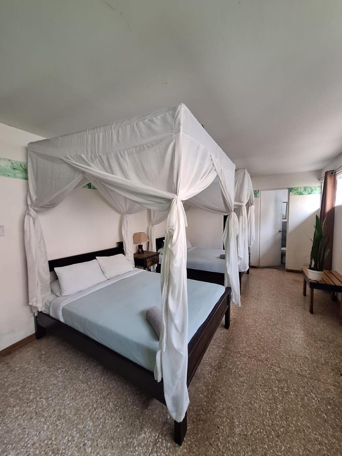 Lost In San Jose Hotel & Hostel Bagian luar foto