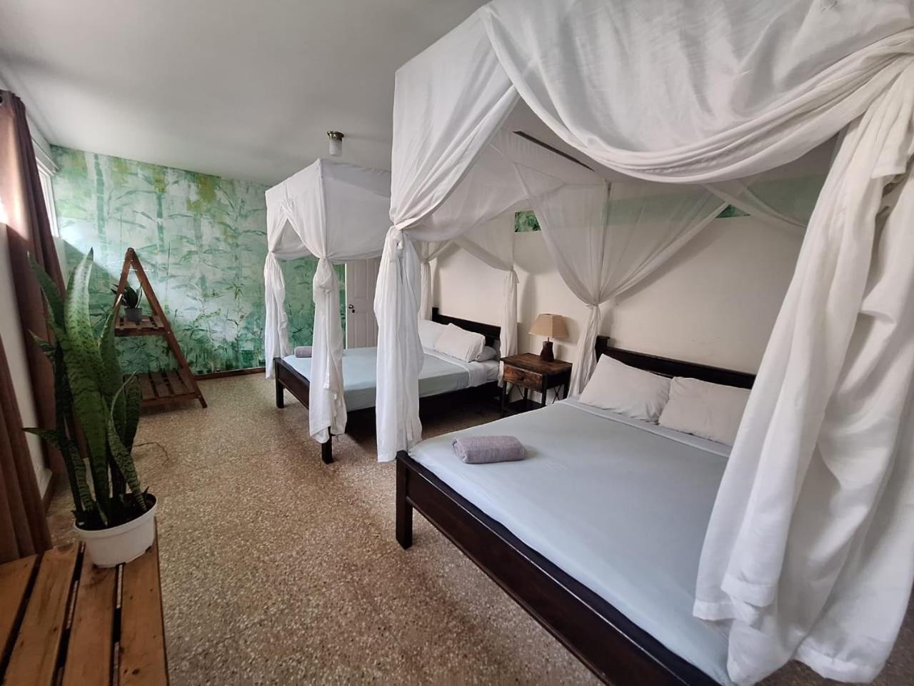Lost In San Jose Hotel & Hostel Bagian luar foto